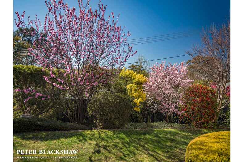 11 Tullaroop Street Duffy 11 Tullaroop Street Duffy