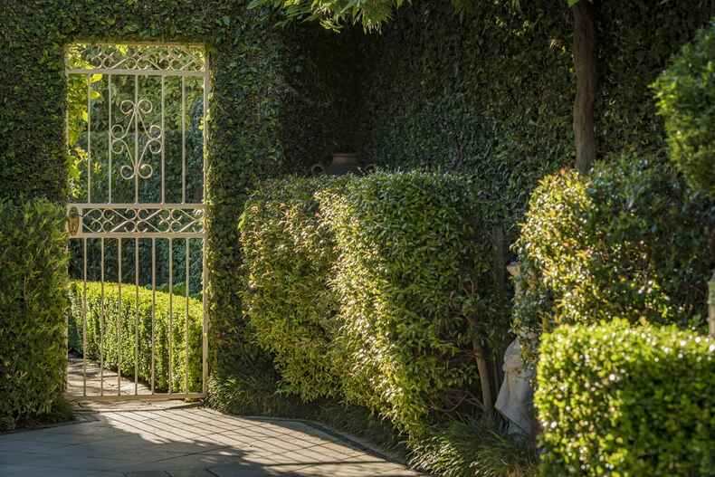 64 Banks Street Yarralumla 64 Banks Street Yarralumla