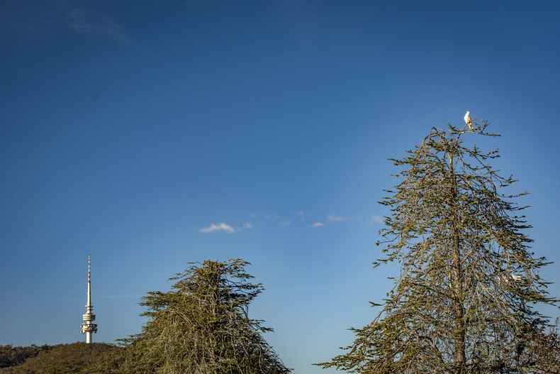 64 Banks Street Yarralumla 64 Banks Street Yarralumla