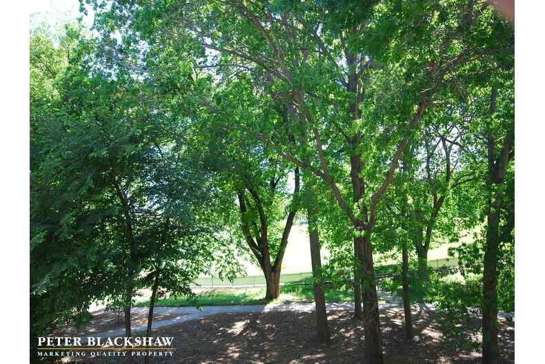 25/18 Austin Street Griffith