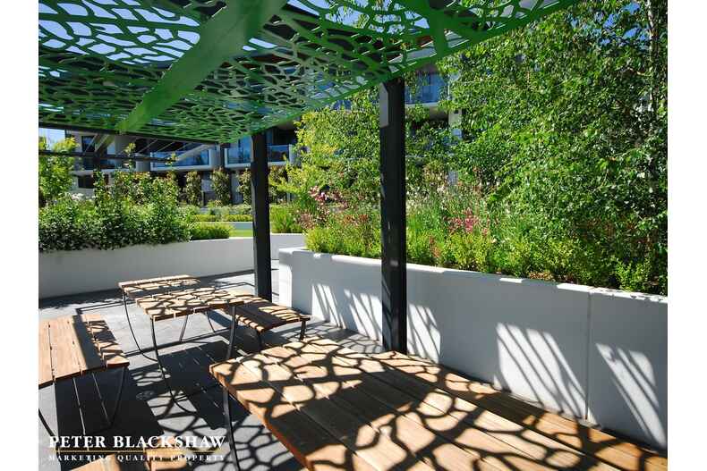 25/18 Austin Street Griffith