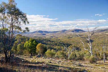 2020 Smiths Road Clear Range