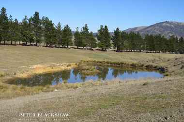 Lot 1/25 Urila Road Burra