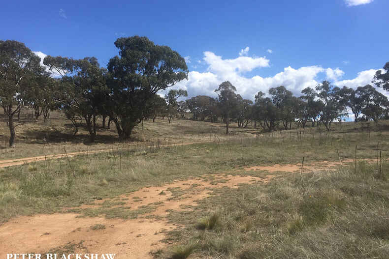 5219 Monaro Highway Michelago