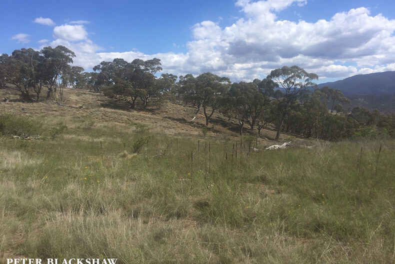 5219 Monaro Highway Michelago