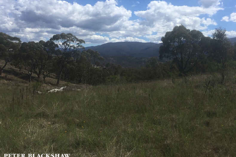 5219 Monaro Highway Michelago