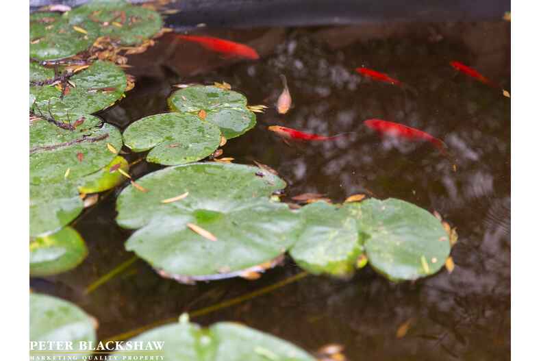 2 Mewton Place Melba 2 Mewton Place Melba