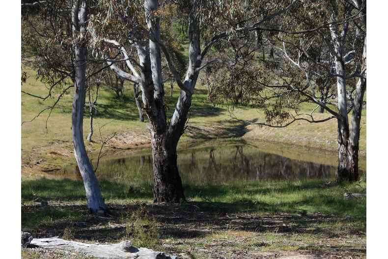112 Hutchinson Place Burra