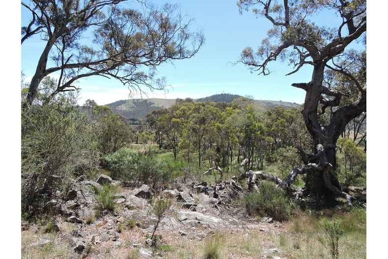 112 Hutchinson Place Burra