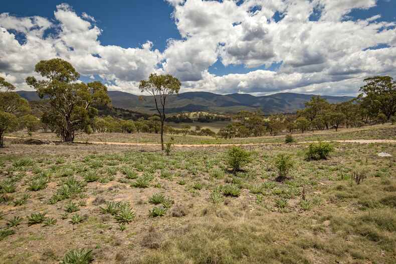 4208 Monaro Highway Colinton 4208 Monaro Highway Colinton