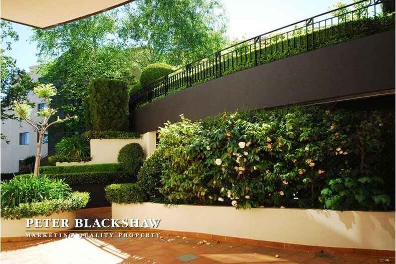 169/8 Jardine Street Kingston 169/8 Jardine Street Kingston