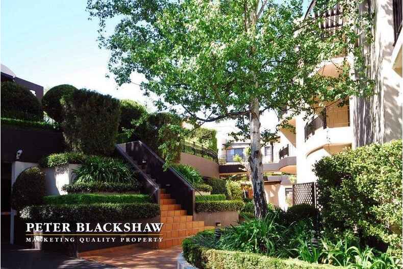 169/8 Jardine Street Kingston 169/8 Jardine Street Kingston