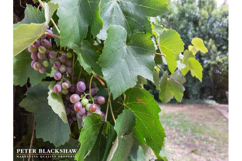 76 Buxton Street Deakin 76 Buxton Street Deakin