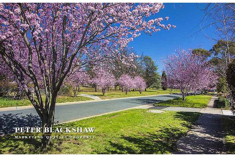 Lot 6/91 Wakefield Gardens Ainslie