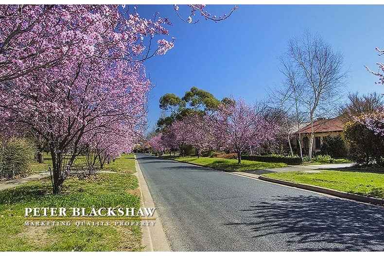 Lot 6/91 Wakefield Gardens Ainslie