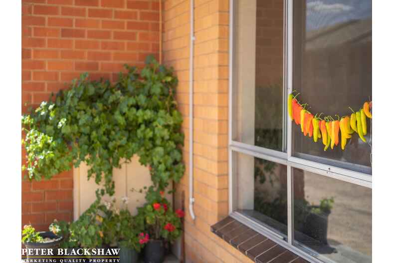 17/9 MacQuoid Street Queanbeyan