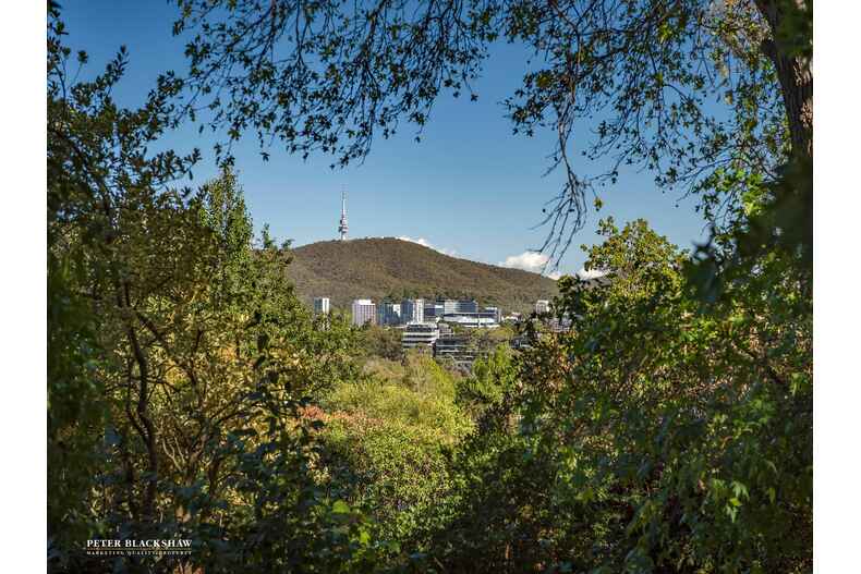 31 Elliott Place Campbell 31 Elliott Place Campbell