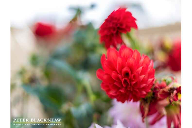 2 Tatchell Street Calwell 2 Tatchell Street Calwell