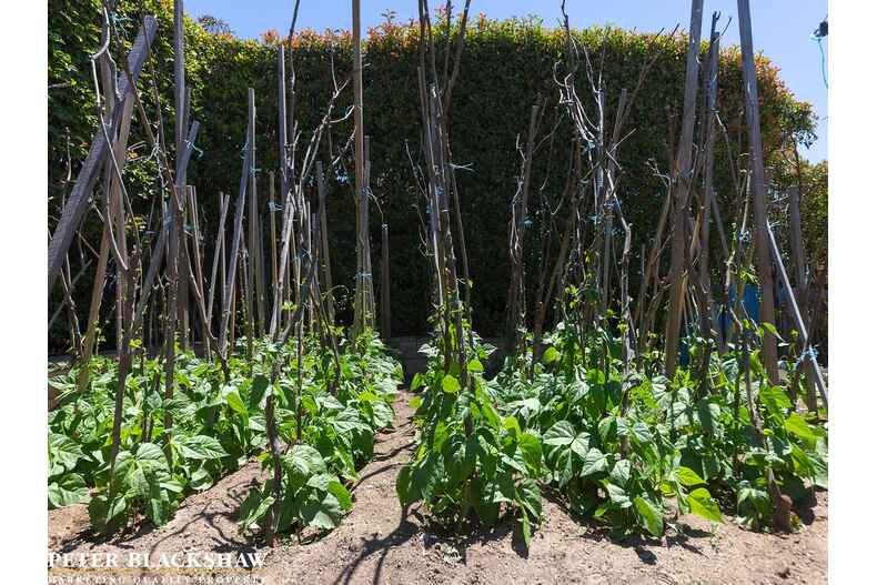 42 Morella Avenue Jerrabomberra