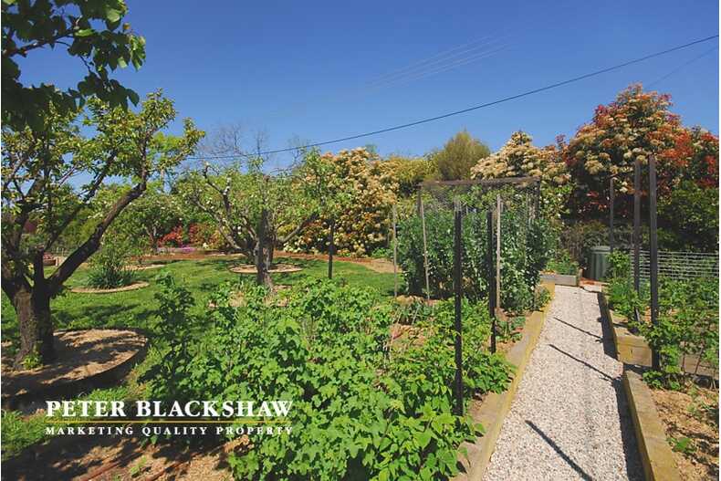 Lot 13/22 Crace Street Weetangera Lot 13/22 Crace Street Weetangera