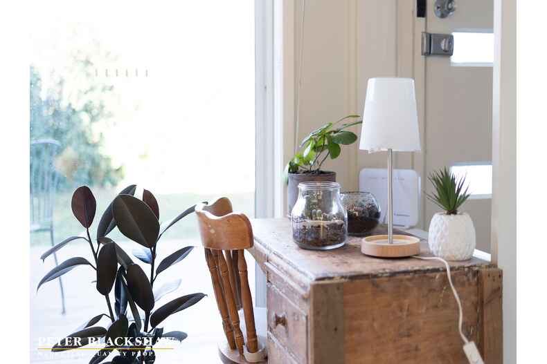 61 Chowne Street Campbell 61 Chowne Street Campbell