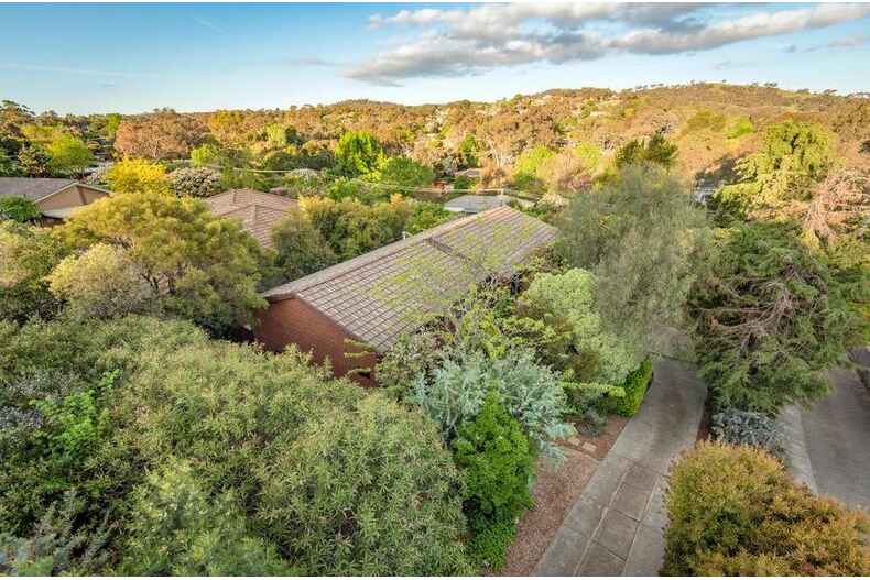 23 Balfour Crescent Wanniassa 23 Balfour Crescent Wanniassa