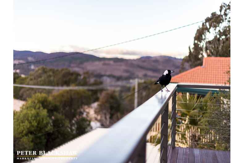 115 O'Connor Circuit Calwell 115 O'Connor Circuit Calwell