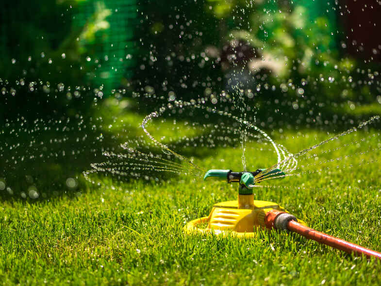 How to get your garden ready for the spring season How to get your garden ready for the spring season