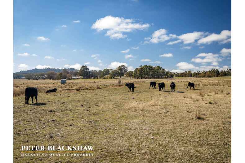 4/11 Starcevich Crescent Jacka 4/11 Starcevich Crescent Jacka