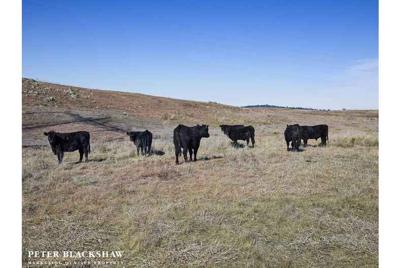 Lot 1 Wallaroo Road Wallaroo Lot 1 Wallaroo Road Wallaroo