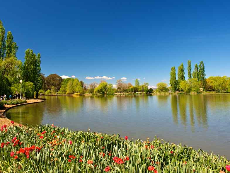 What's on in Canberra this spring