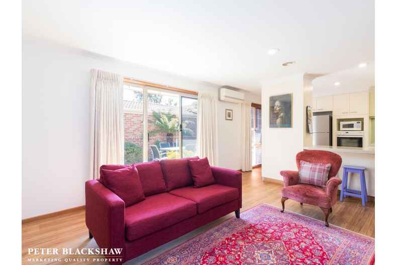 9/9 Crisp Circuit Bruce 9/9 Crisp Circuit Bruce