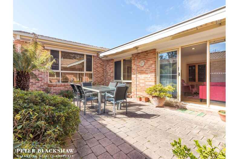 9/9 Crisp Circuit Bruce 9/9 Crisp Circuit Bruce