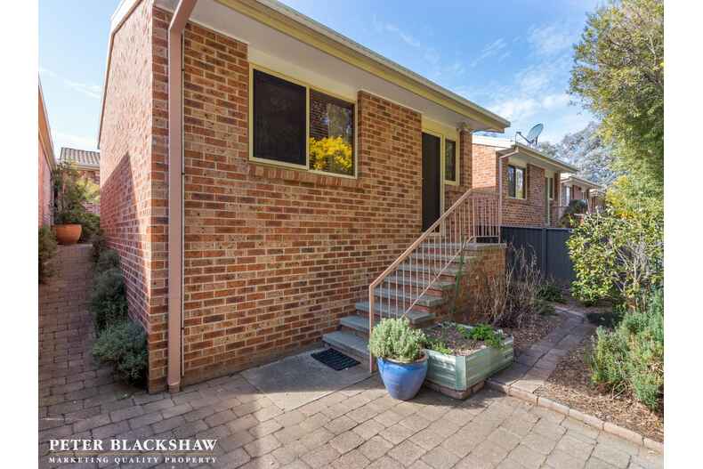 9/9 Crisp Circuit Bruce 9/9 Crisp Circuit Bruce