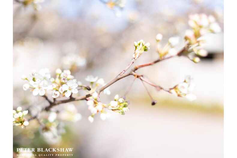 7/11 Florence Fuller Crescent Conder 7/11 Florence Fuller Crescent Conder