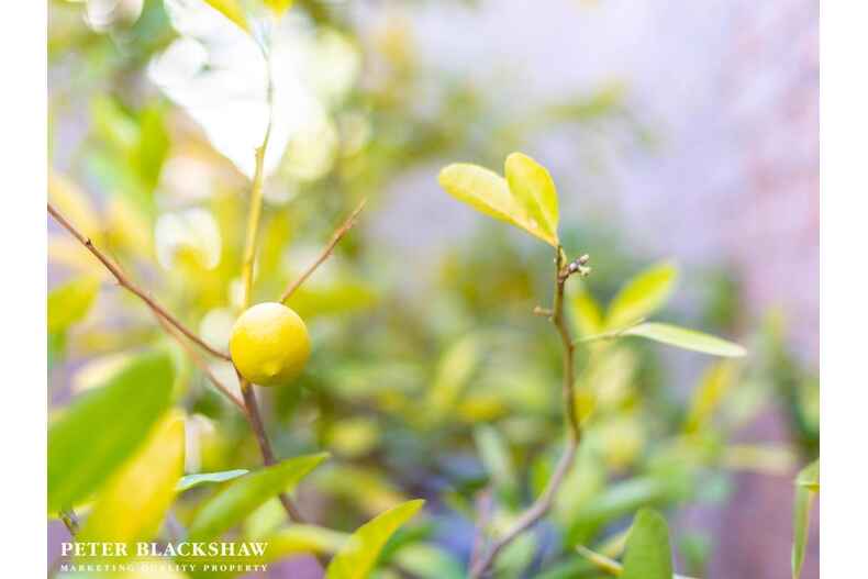 7/11 Florence Fuller Crescent Conder 7/11 Florence Fuller Crescent Conder