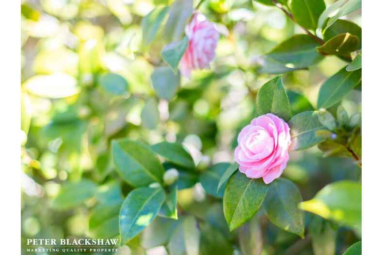 7/11 Florence Fuller Crescent Conder 7/11 Florence Fuller Crescent Conder