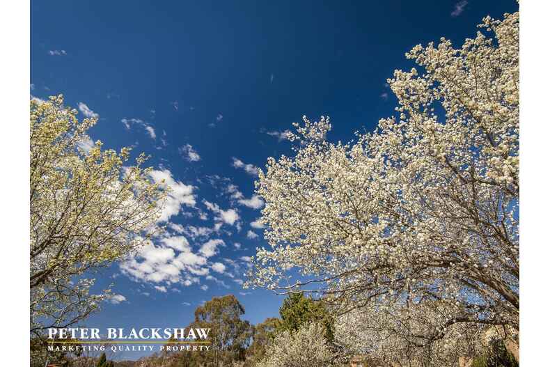 Lot 9/18 Lawlor Place Gordon Lot 9/18 Lawlor Place Gordon