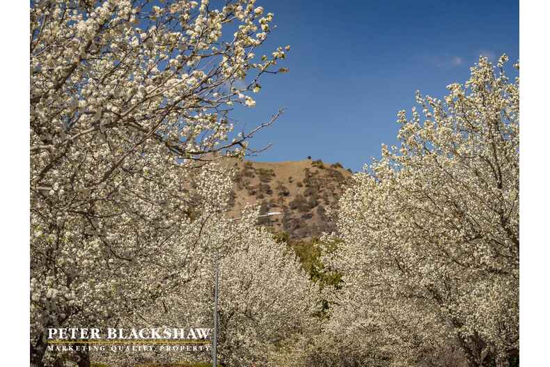 Lot 9/18 Lawlor Place Gordon Lot 9/18 Lawlor Place Gordon