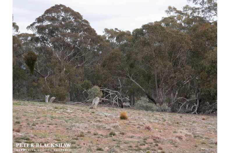 32 Leita Court Ngunnawal 32 Leita Court Ngunnawal