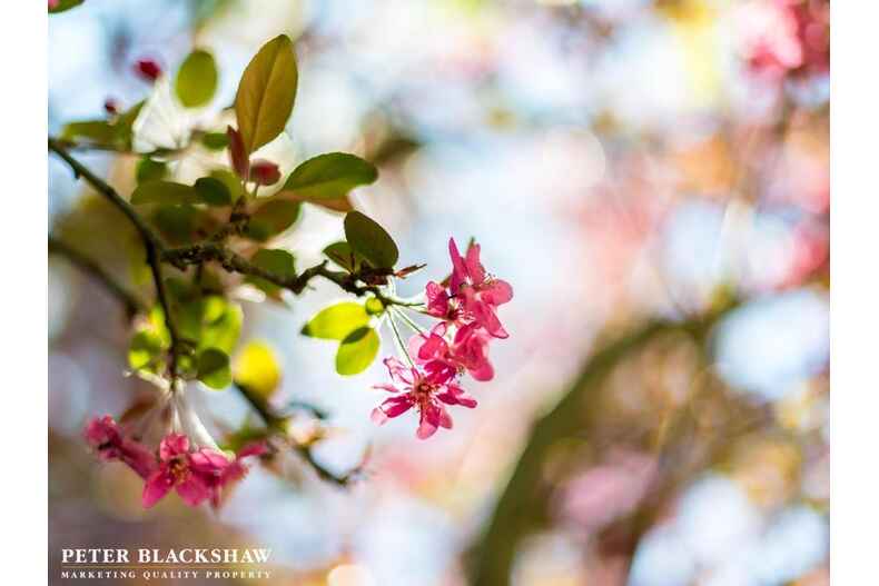 46/44 Jerrabomberra Avenue Narrabundah 46/44 Jerrabomberra Avenue Narrabundah