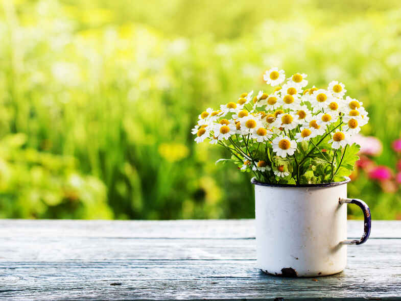 Springtime health: allergy tips Springtime health: allergy tips