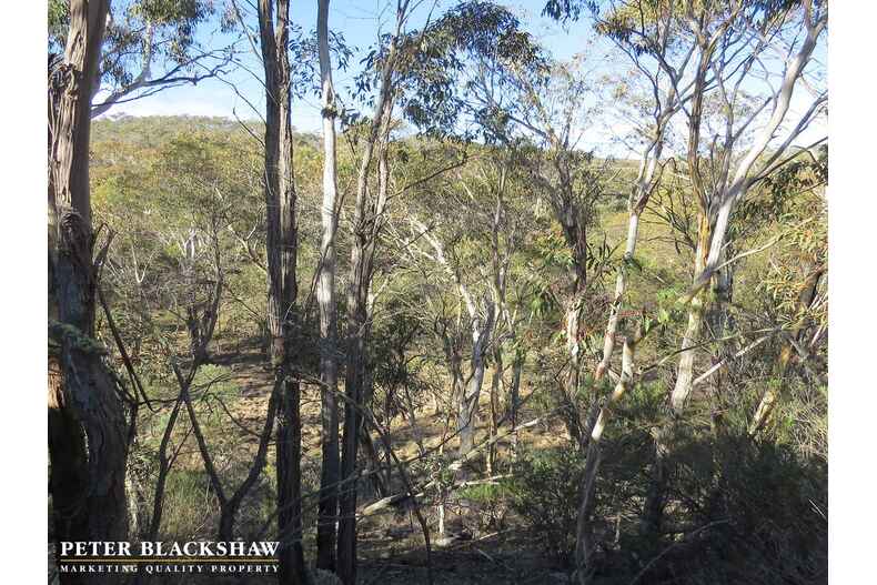 2062 Jerangle Road Jerangle 2062 Jerangle Road Jerangle