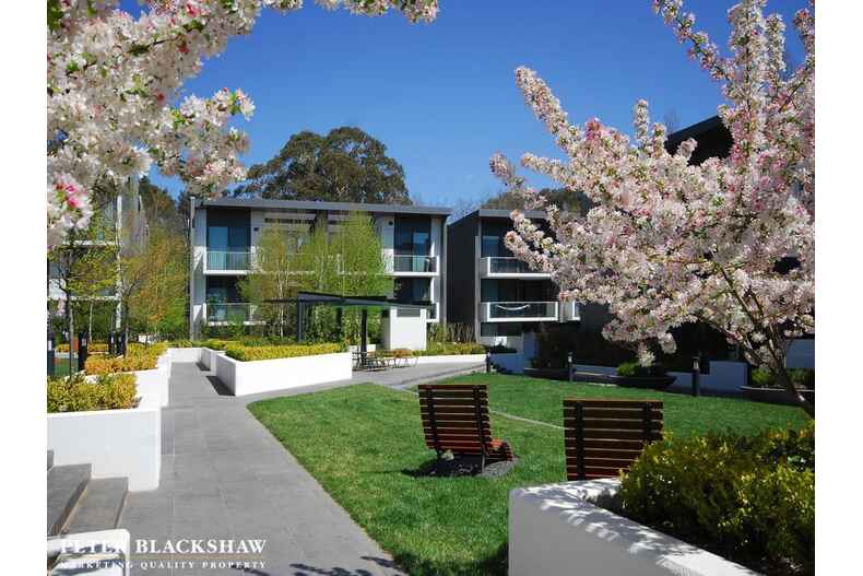 76/18 Austin Street Griffith