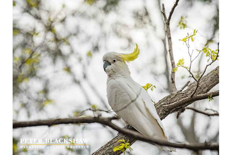 4 Cardew Crescent Holder 4 Cardew Crescent Holder
