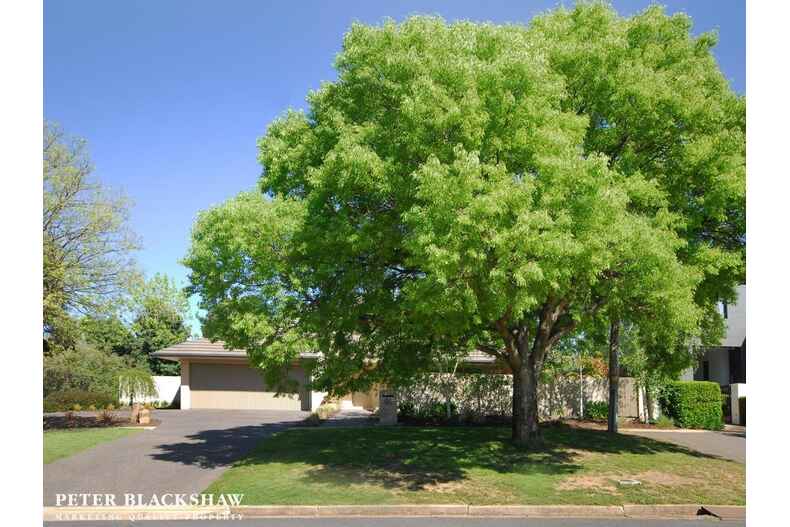 45 Mueller Street Yarralumla