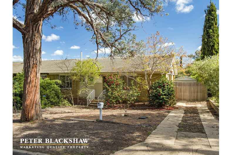 11 Winnecke Street Ainslie 11 Winnecke Street Ainslie