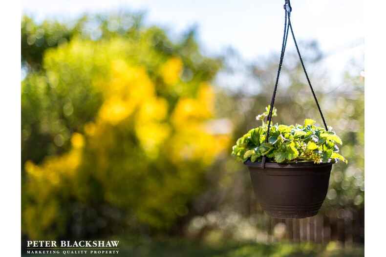 3 Ada Place Lyons 3 Ada Place Lyons