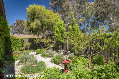 5/1 Biddlecombe Street Pearce