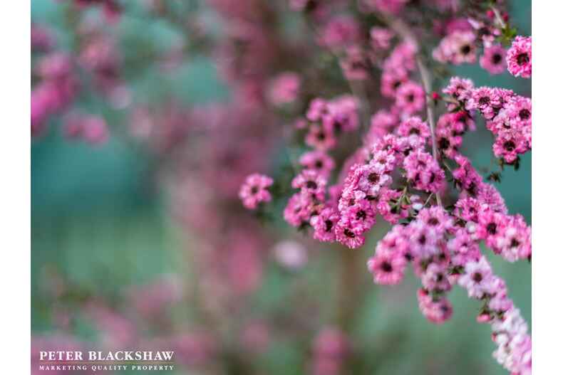 30 Greenvale Street Fisher